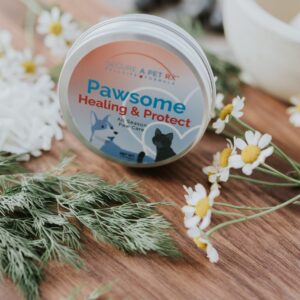 <span style="color:red;">Pawsome</span> <span style="color:#0F4FA0;">Healing & Protect™</span> from Secure a Pet RX™