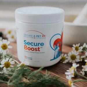<span style="color:red;">Secure</span> <span style="color:#0F4FA0;">Boost™</span> Immunity Boosting Supplements | 60 Servings (Powder Scoop)