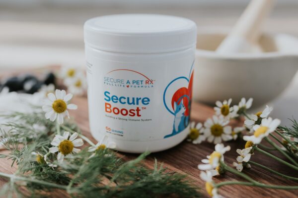 Secure A Pet SecureBoost™ Immunity Boosting Supplements | 60 Servings (Powder Scoop)