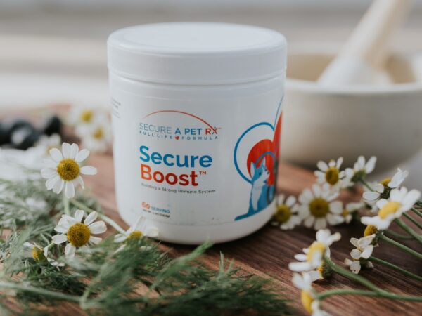 <span style="color:red;">Secure</span> <span style="color:#0F4FA0;">Boost™</span> Immunity Boosting Supplements | 60 Servings (Powder Scoop)