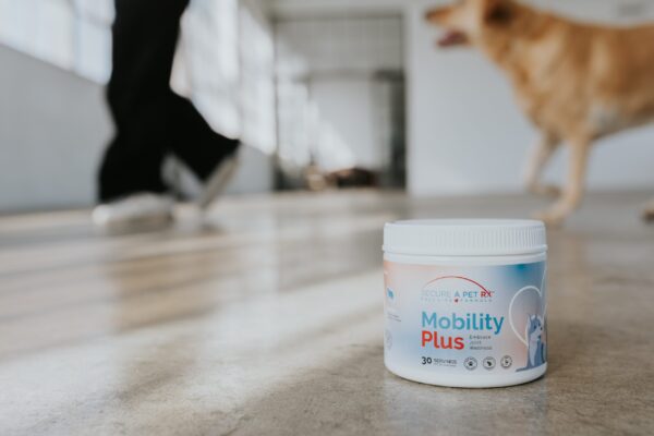 Secure A Pet Mobility Plus pet supplement from Secure a Pet RX™