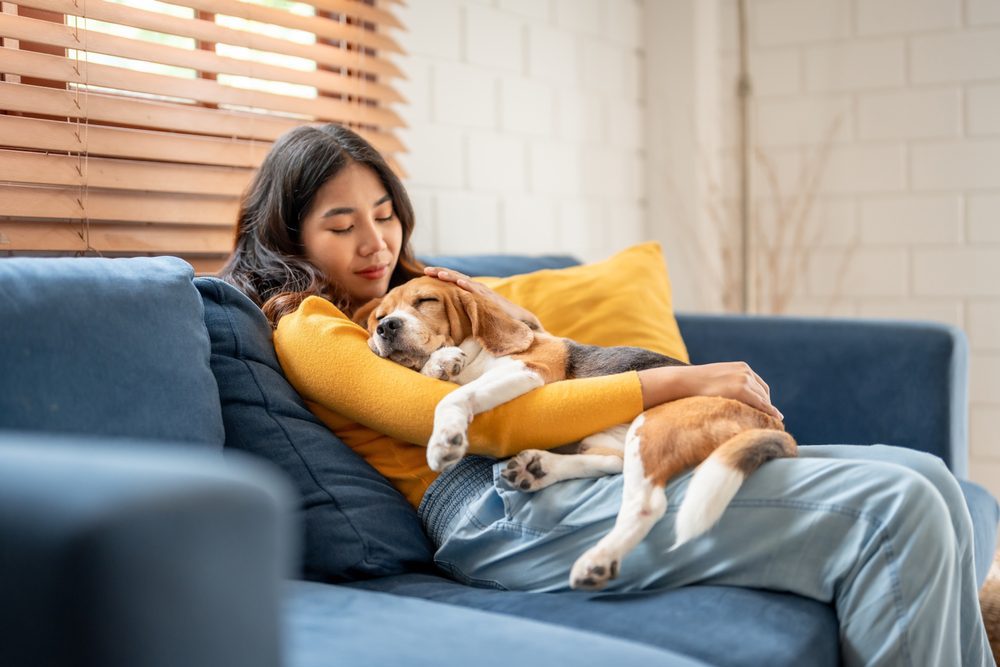 Best Dog Food for Itchy Skin