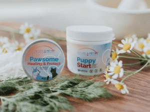 New Puppy Bundle