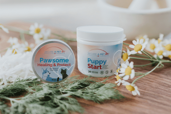 New Puppy Bundle