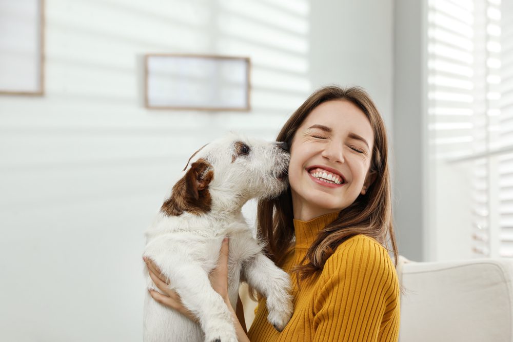 Best Joint Health Supplement for Dogs