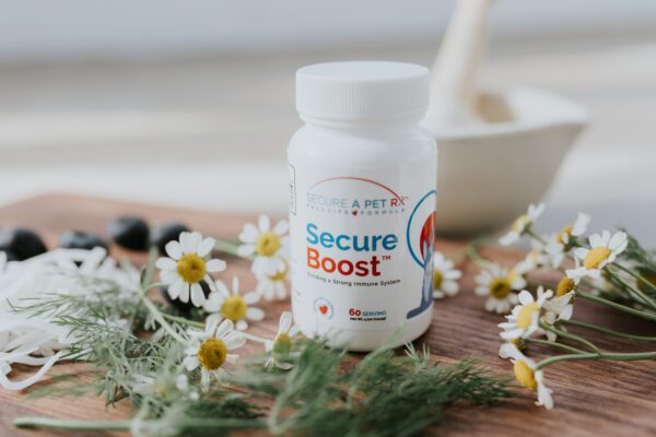 Immunity Boosting Capsules Immunity Boosting Capsules