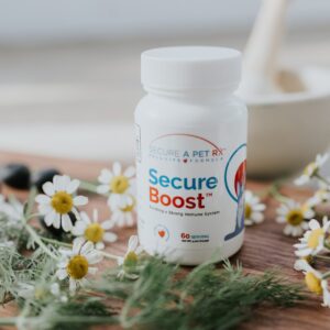 Immunity Boosting Capsules