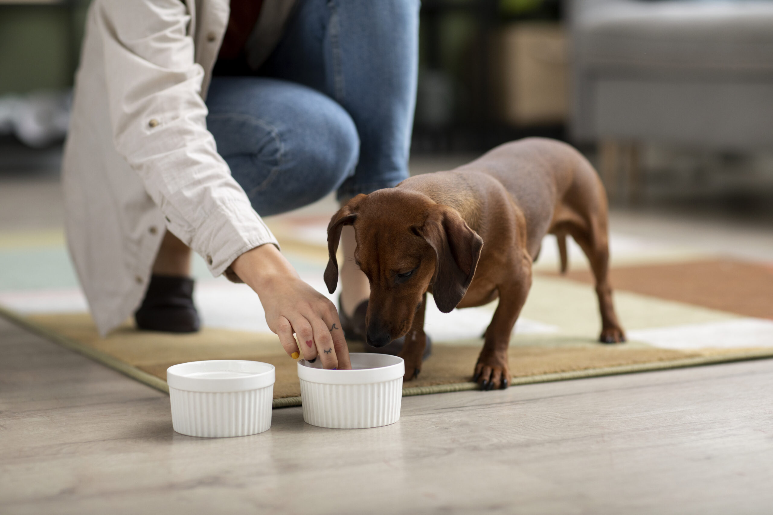 puppy formula