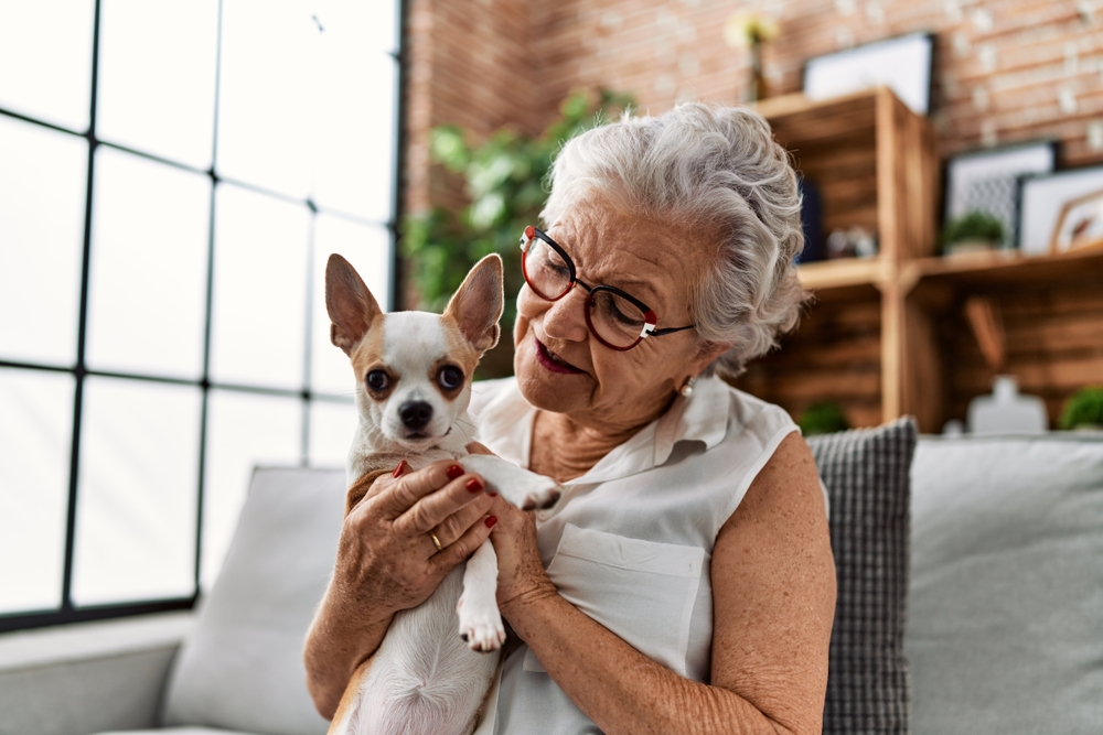 Easy Take Care of Pets