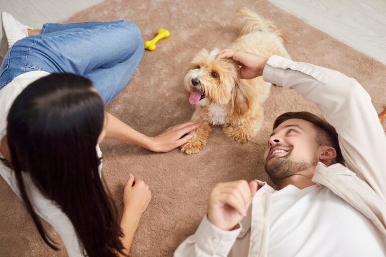 Tips for New Puppy Owners