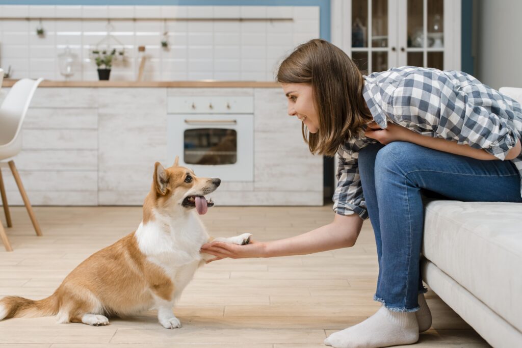 Puppy Formulas