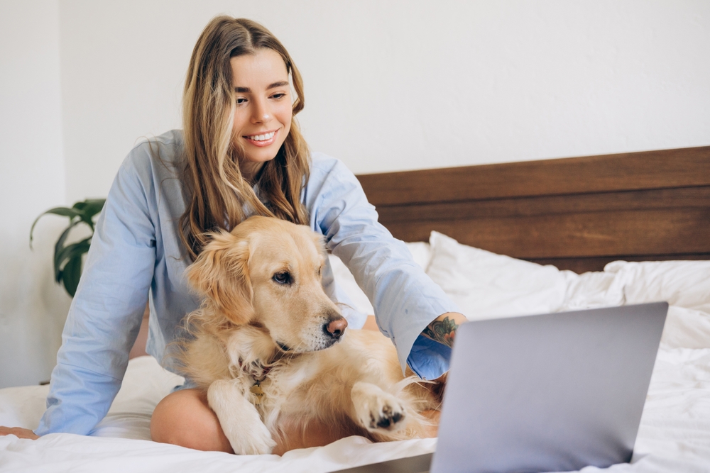 How to use Pet’s Nutrition Calculator