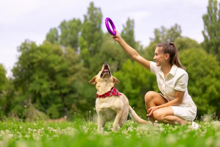Puppy Health