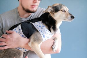 Hope and Healing in Pets