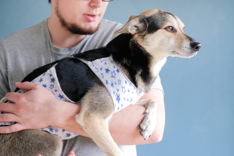 Hope and Healing in Pets