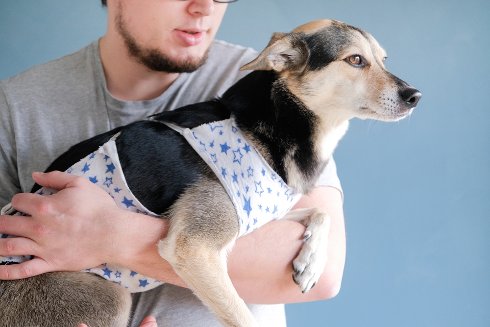 Hope and Healing in Pets