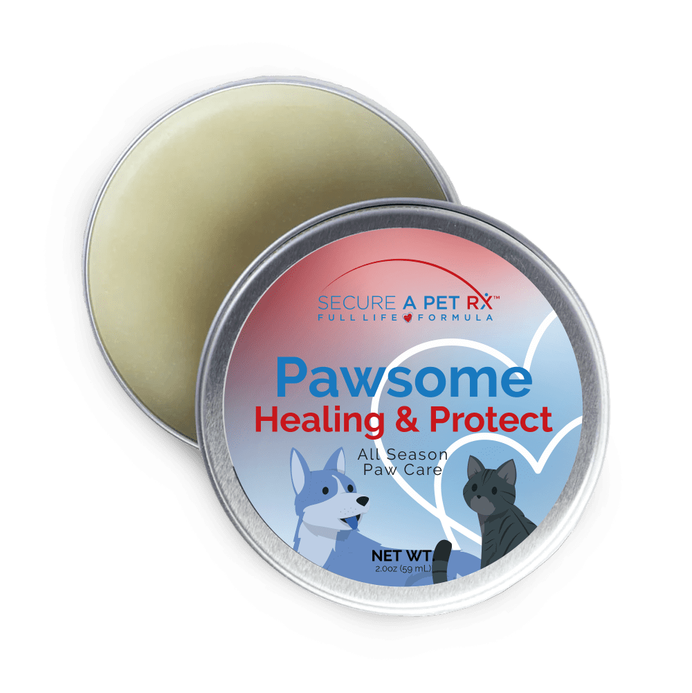 Mistakes Cat Owners Make