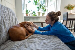 Joint Support Supplements