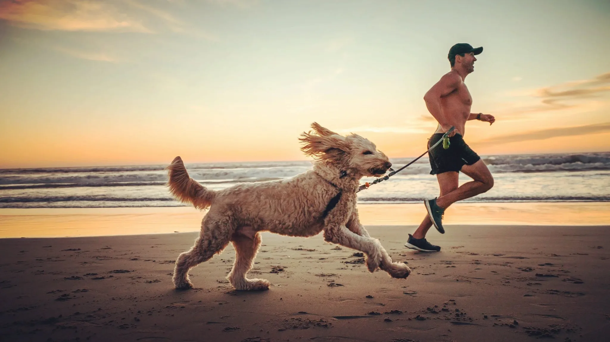 Man running with dog on beach Mobility+™ Joint & Mobility Support