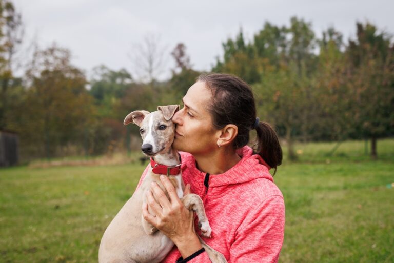 Top Rated Dog Multivitamin Chews