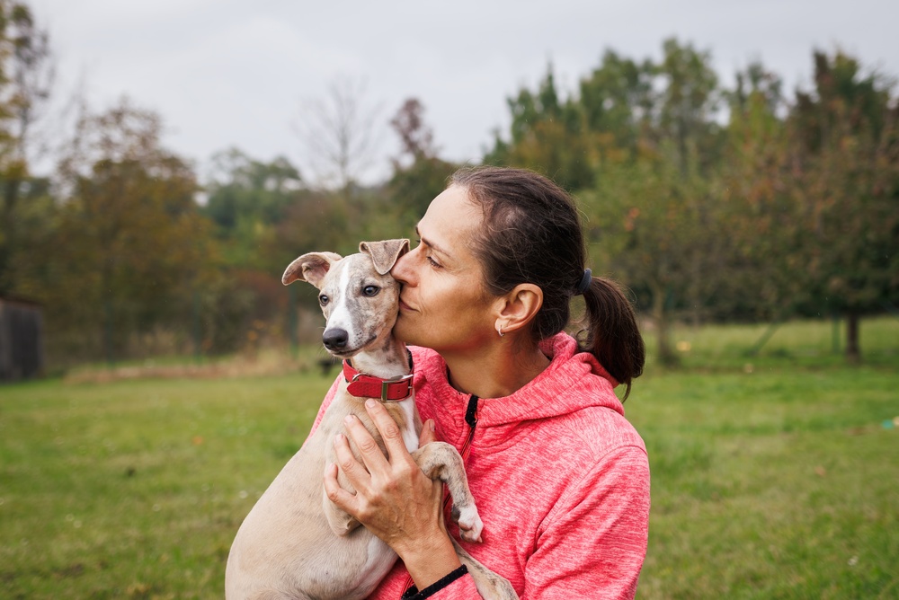 Top Rated Dog Multivitamin Chews