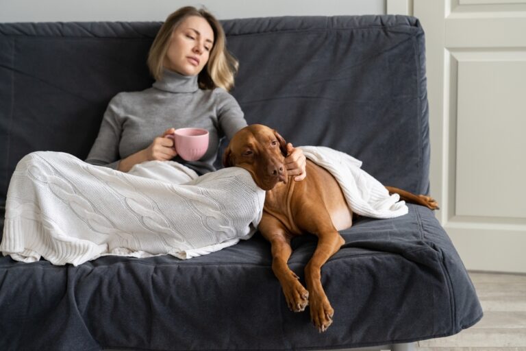 healthy aging supplements for dogs