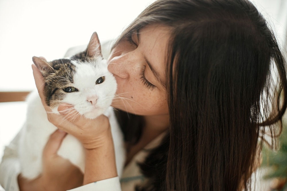 Do Cats Need Supplements