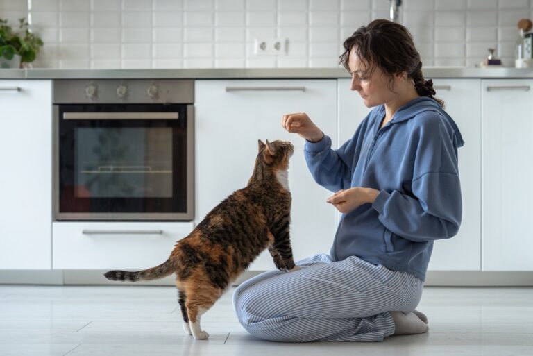 Do Cats Need Supplements