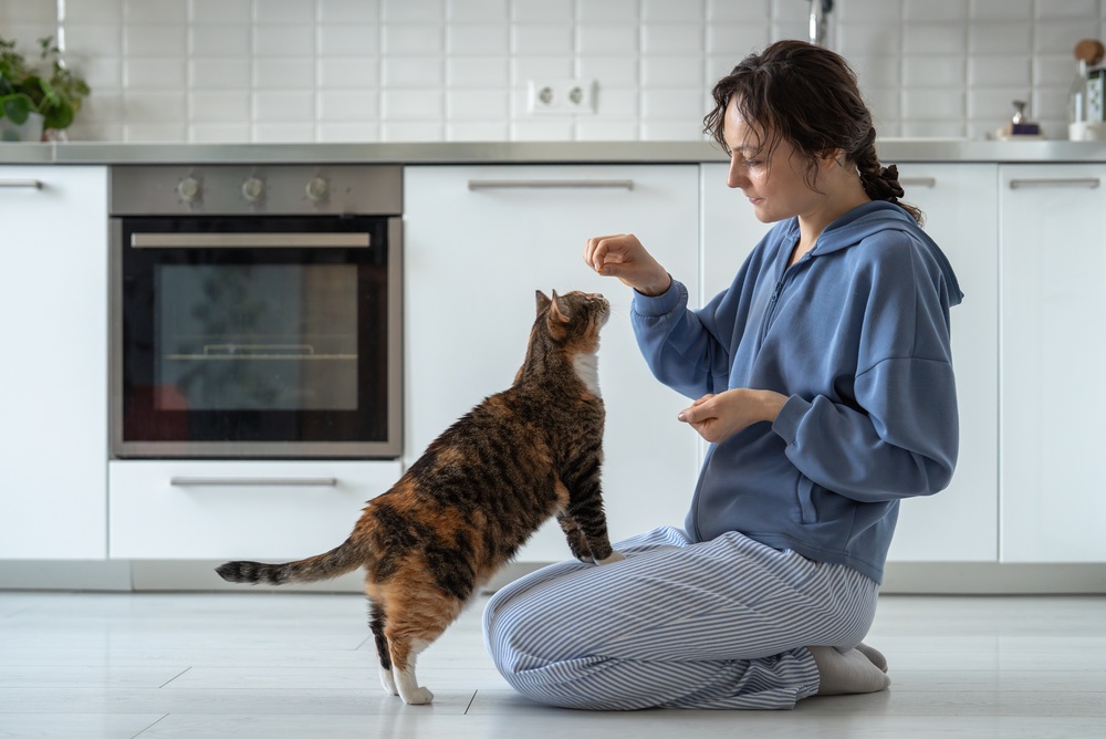 Do Cats Need Supplements