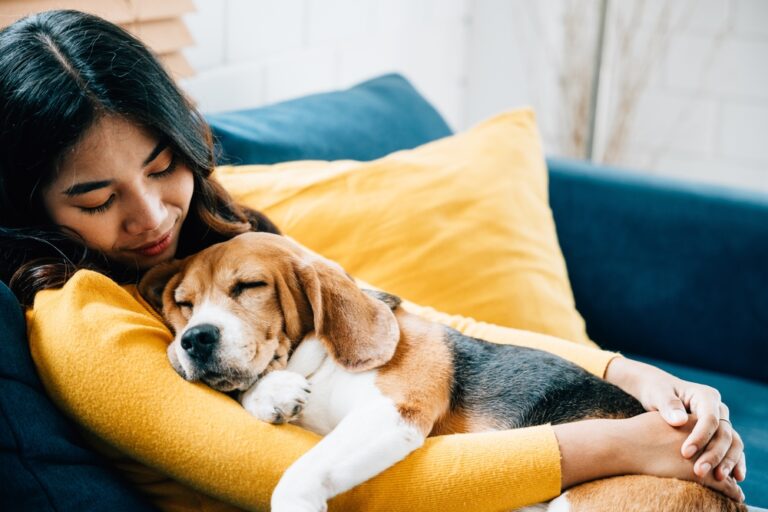 Does My Dog Need a Daily Supplement