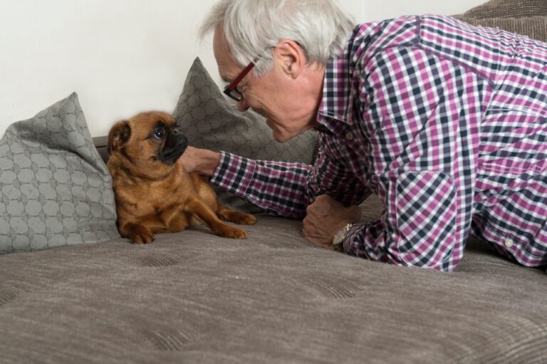 What Is Your Pet Trying to Tell You
