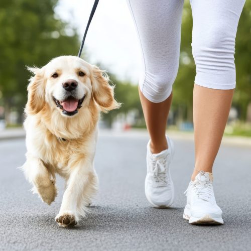Woman jogs with golden retriever dog on leash, enjoying sunny day outdoors